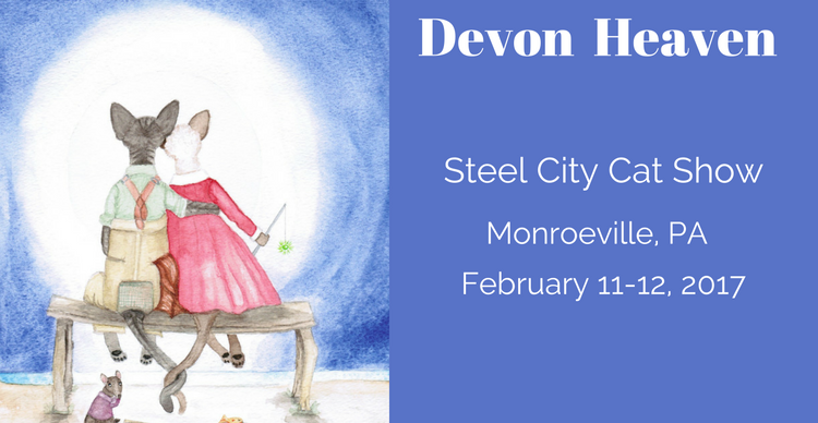 Graphic of Devon Heaven Cat Show in Monroeville, PA Blog Post